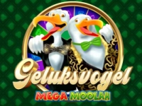 Geluksvogel Mega Moolah