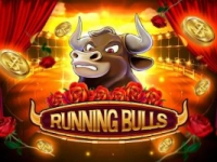 Running Bulls