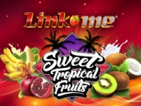 Link Me Sweet Tropical Fruits