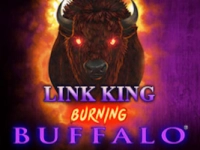 Link King Burning Buffalo