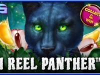 1 Reel Panther