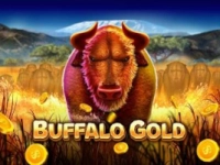 Buffalo Gold