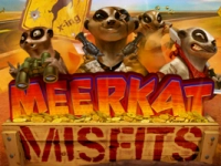 Meerkat Misfits