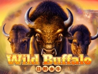 Wild Buffalo