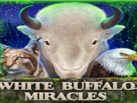 White Buffalo Miracles