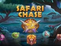 Safari Chase Hit 'n' Roll