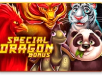 Special Dragon Bonus