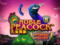 Noble Peacock