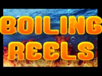 Boiling Reels