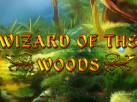 Wizard of the Woods