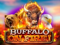 Buffalo on Fire