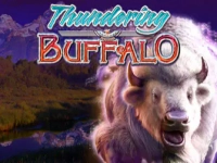 Thundering Buffalo