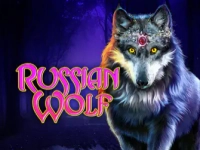 Russian Wolf