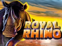 Royal Rhino