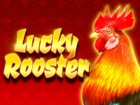 Lucky Rooster