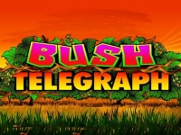 Bush Telegraph