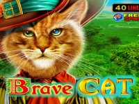 Brave Cat