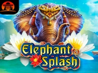 Elephant Splash