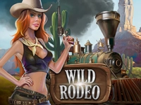 Wild Rodeo