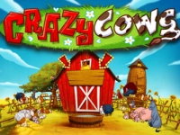 Crazy Cows