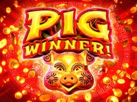 Pig Winner