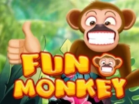 Fun Monkey