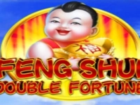 Feng Shui Double Fortune