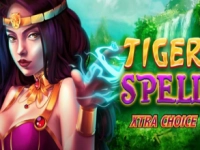 Tiger Spell - Xtra Choice