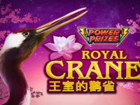 Power Prizes - Royal Crane