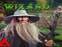 Wizard