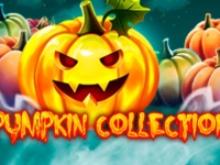 Pumpkin Collection