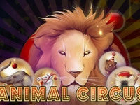 Animal Circus