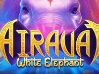 Airavat - White Elephant