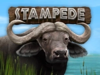 Stampede