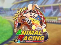 Animal Racing