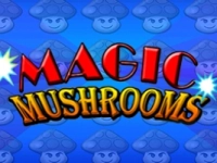 Magic Mushrooms