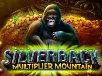 Silverback Multiplier Mountain