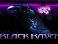 Black Raven