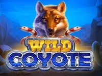 Wild Coyote