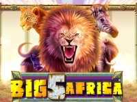 Big 5 Africa