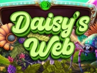 Daisy's Web