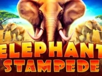 Elephant Stampede