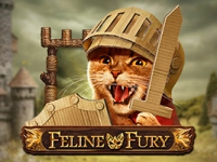 Feline Fury