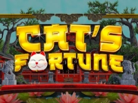 Cat's Fortune