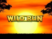 Wild Run