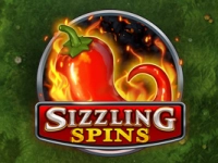 Sizzling Spins