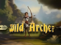 Wild Archer