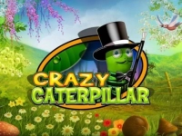 Crazy Caterpillar