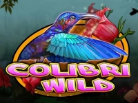 Colibri Wild