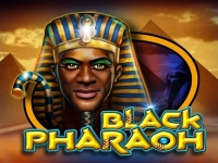 Black Pharaoh